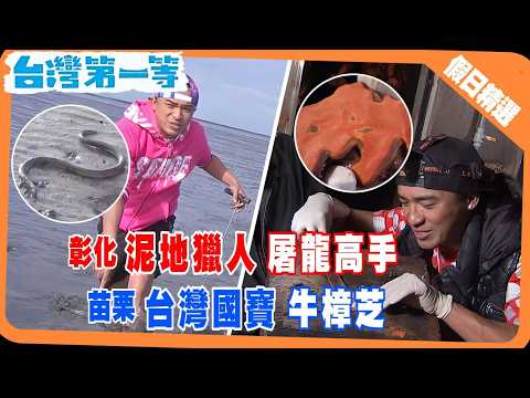 【祖傳ㄅ級分補品 土龍藥酒強筋壯骨／頂級紅寶石牛樟芝 霧氣環繞椴木復育／冠軍鹿茸酒 加血配高粱費時一個月 】 假日精選