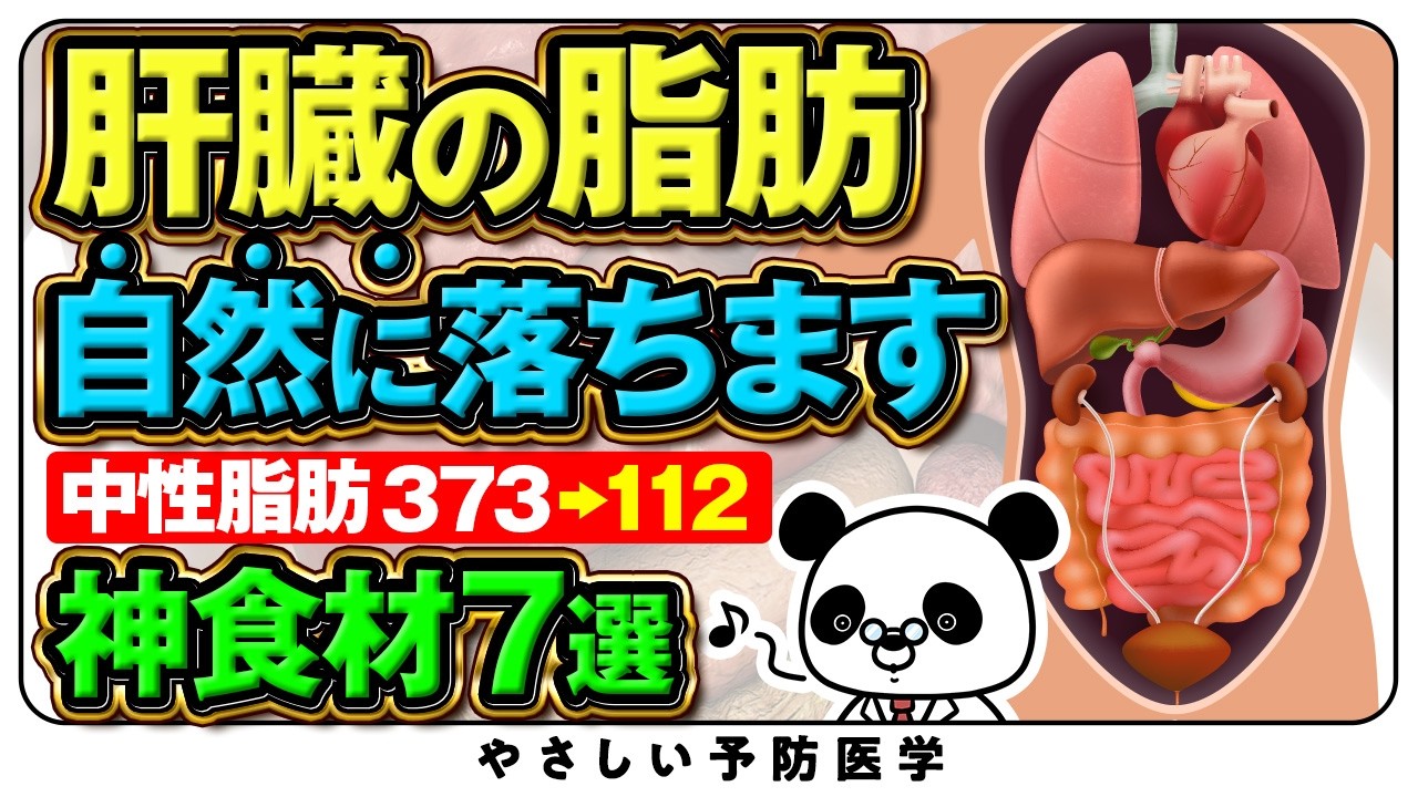 【医師解説】脂肪肝の原因、肝臓の脂肪をごっそり落とす食べ物について解説（脂質異常症　脂肪肝）