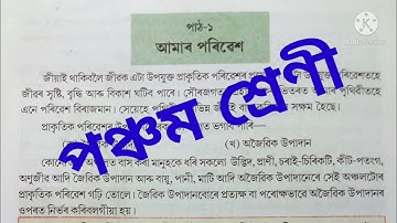 "আমাৰ পৰিৱেশ" Class 5 EVS Lesson 1 Explanation & Question Answer SCERT Assam