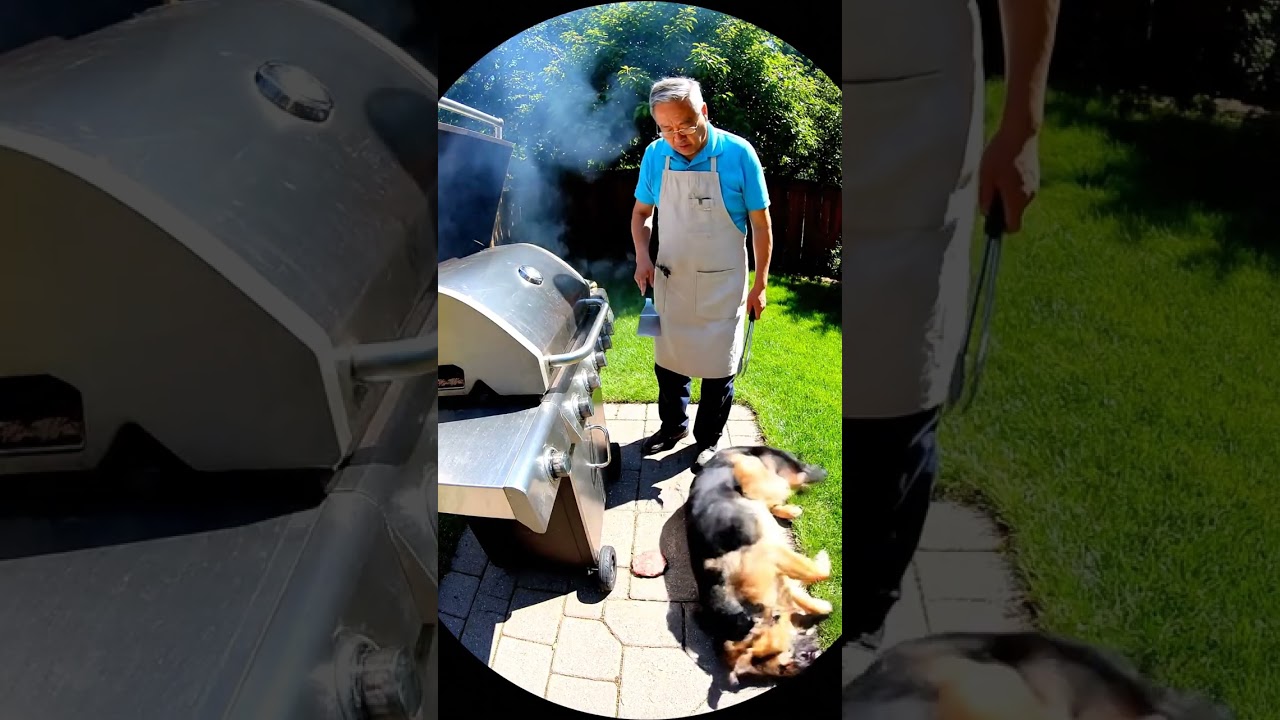 Where Did The Burger Go 