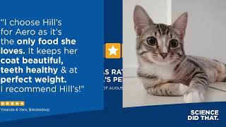 Real people, real pets, real differences by Hill's Pet Nutrition South Africa 1,430,411 views 2 months ago 10 seconds