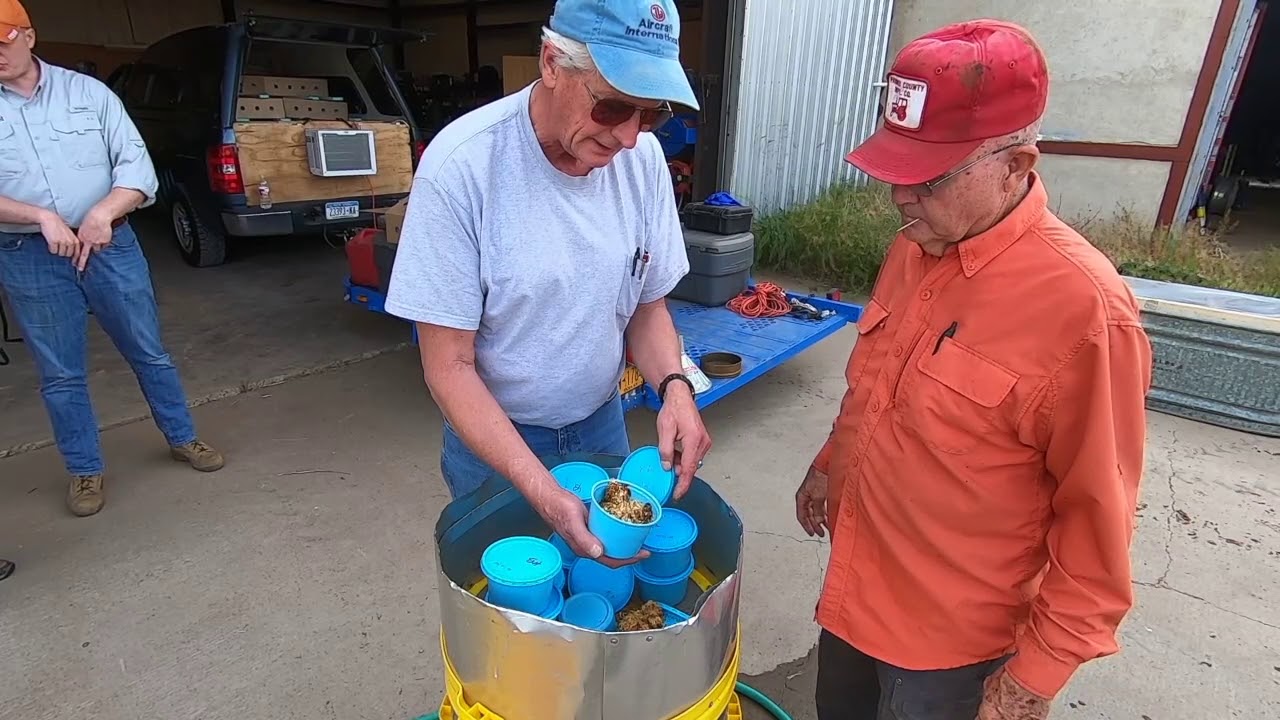 Using persistent entomopathogenic nematodes to control corn rootworm.