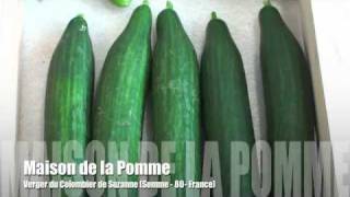Maison De La Pomme Du Verger Du Colombier À Suzanne Dans La Somme