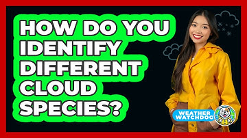 How Do You Identify Different Cloud Species? - Weather Watchdog