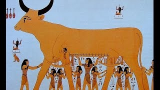 Sacred symbols | in ancient Egypt | الرموز | المقدسة في مصر | القديمة