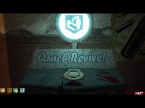 Quick Revive is useless…