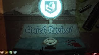 Quick Revive is useless…