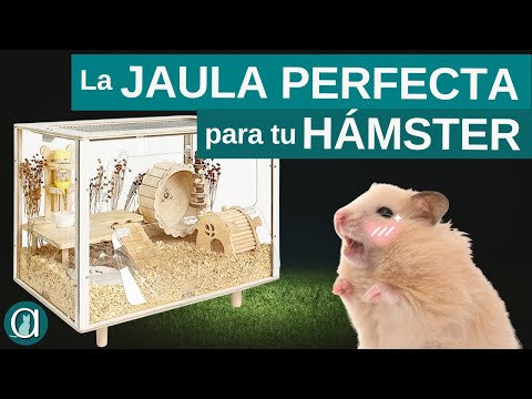 🎬 Video relacionado con jaulas para hamsters