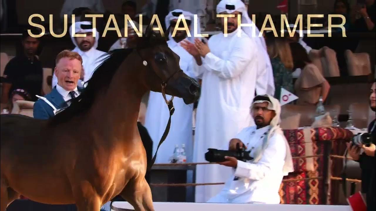 SULTANA AL THAMER Class Winner & Yearling Fillies Championship