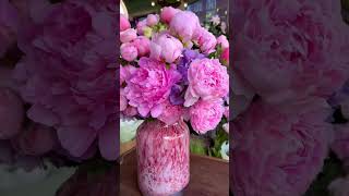 In Every Unfolding Petal Lies A Quiet Reminder Renewal Always Begins Softly.