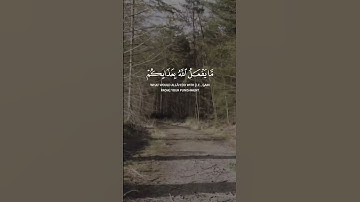 الخشوع يتجلى في صوت المنشاوي | سورة النساء #المنشاوي #المصحف #اكسبلور