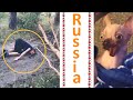 Meanwhile in RUSSIA! 2021 - Best Funny Compilation #22