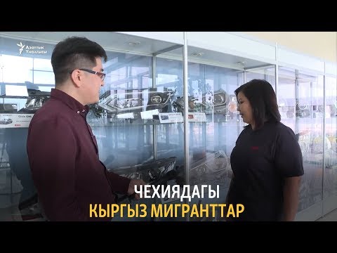 Video: Кантип жумуш берүүчү табууга болот