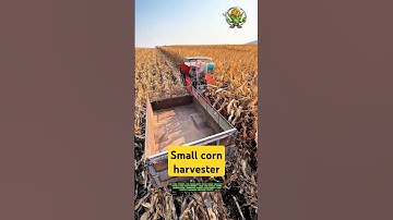 Small corn harvester: Good tools and machinery can increase work efficiency.