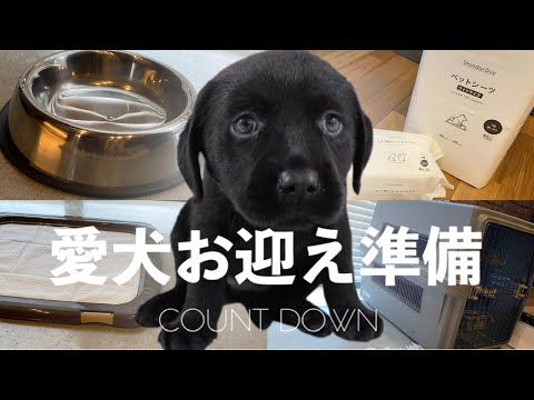 ラブラドール様　宜しくお願い致します^_^ hqdefault.jpg