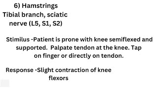 Hamstring reflex (hamstring jerk) - Deep tendon reflex
