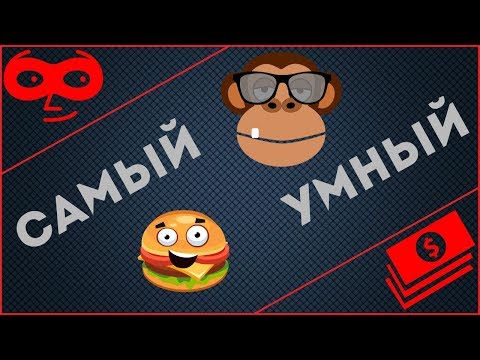 Встречайте! Самый умный мошенник на ОЛХ! Попустил умника!