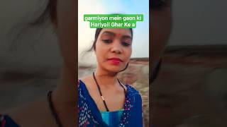 garmiyon mein gaon ki Hariyali Ghar Ke aaspaas ki #Miniblog# #desiblog #village blog