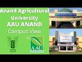 Anand Agricultural University Campus View Anand Agricultural University Campus View