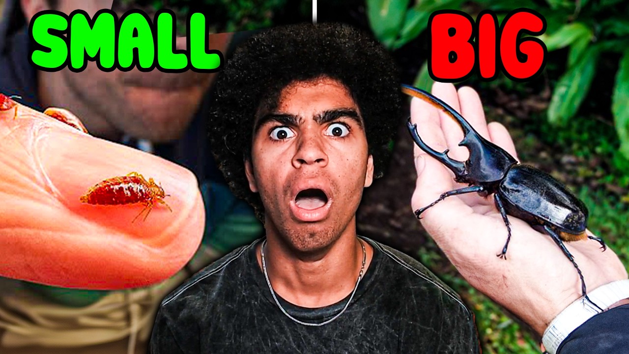 KingSammelot Reacts to "World's BIGGEST Things"