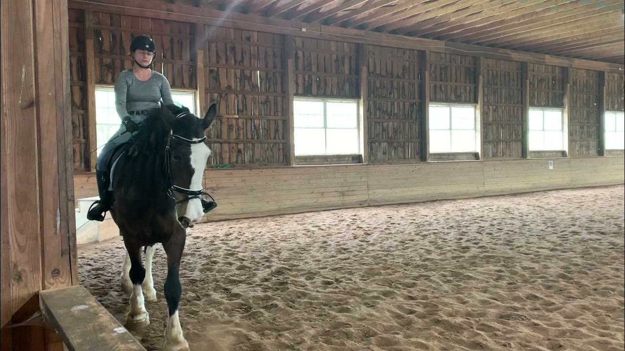 USDF Training Level Test 2, Mel Montagano & Raven YouTube