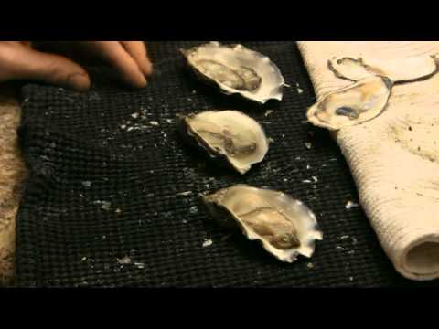 How to Shuck Oysters