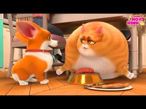 Cùng Nhau Ăn Tết - Chú Chó Moco - Phim Hoạt Hình Chú Chó Moco Vui Nhộn Cho Bé