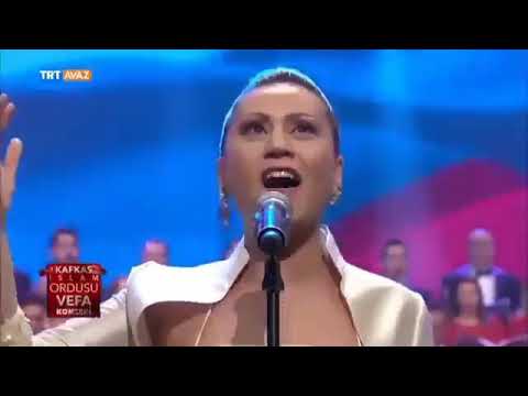Azerbaycan Bayragini Karabaga Asacagiz Youtube