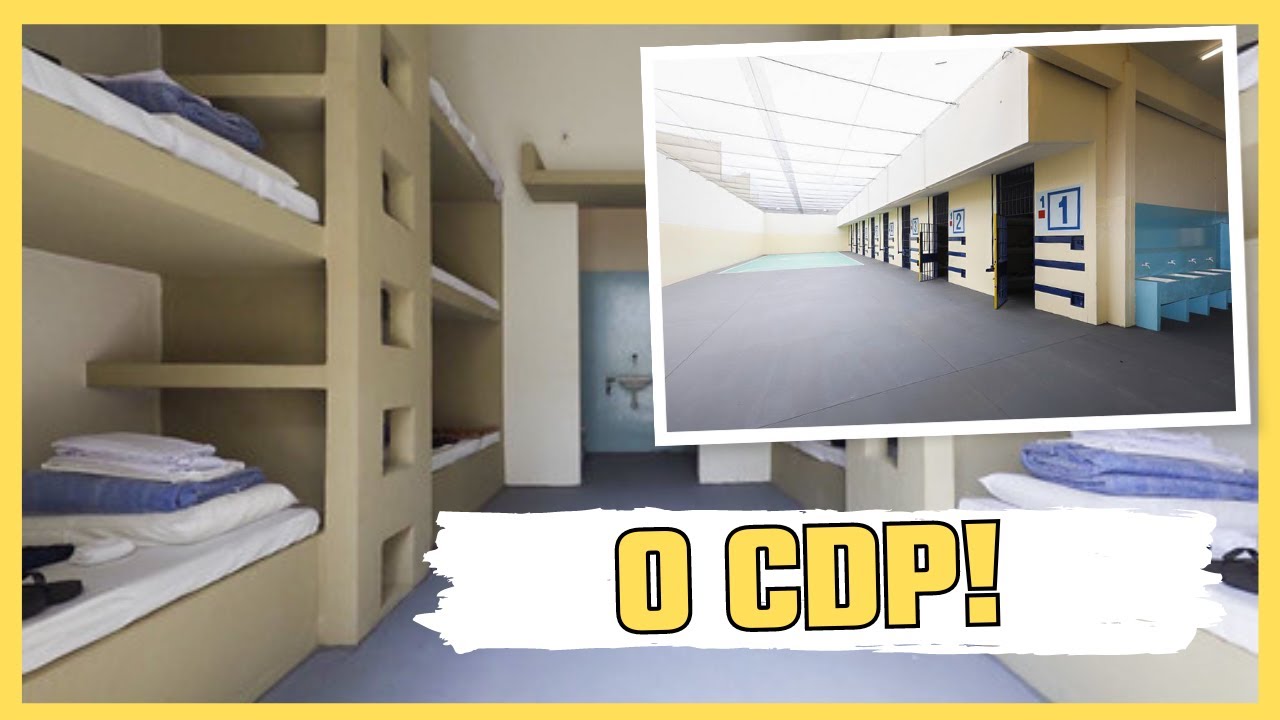 CONHEÇA O SISTEMA CONHEÇA O SISTEMA