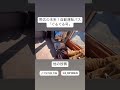 【帯広】未来体験！自動運転バス「ぐるぐる号」に乗車