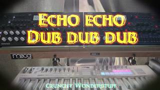 ECHO echo Dub dub dub