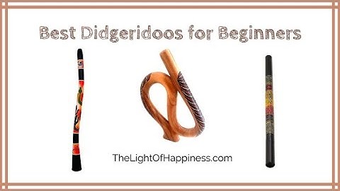 Best Didgeridoos for Beginners (2022 Buyers Guide)