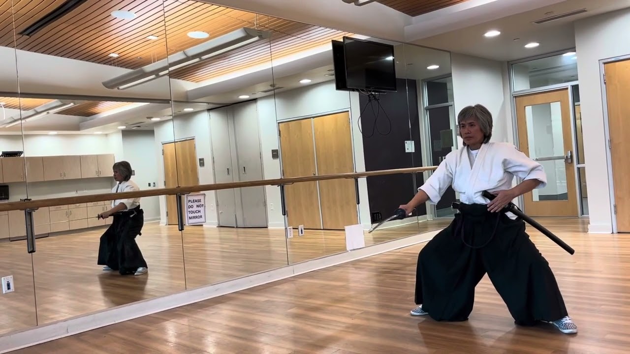 Aikido Toho Iaido 15