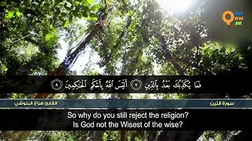 سورة التين القارئ هزاع البلوشي HD hazae albulushi Surat at Tin