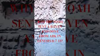 Famous WHY DID NOAH SENT A RAVEN AND DOVE FROM ARK IN GENESIS 8:7-11? Wealth