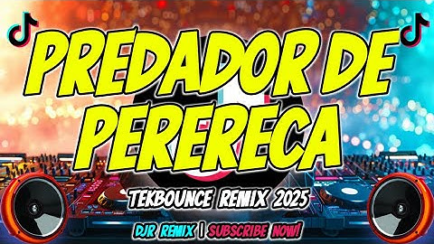 PREDADOR DE PERERECA TIKTOK VIRAL REMIX 2025 | Battle TekBounce | DJR Remix