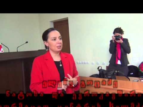 თელავში ნატოსა და ევროკავშირის საინფორმაციო ცენტრის კახეთის ბიურო გაიხსნა