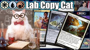 Forget The Snow Cards, Arcum