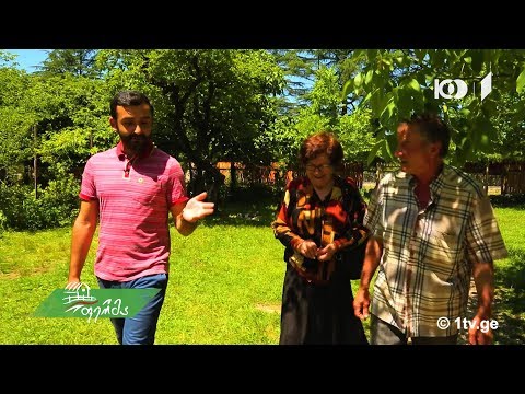 #ფერმა რა ხდება მარტვილის სოფლის მეურნეობაში/ დაუგეგმავი სტუმრობა აბრახამიების ოჯახში