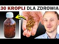 Buduje odporność, zmniejsza stłuszczenie wątroby 🐝 Najzdrowszy pszczeli produkt - krople propolisowe