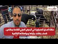 سلالة الدمان الصحراوية في المعرض الدولي للفلاحة بمكناس كساب يكشف مزاياها ومواصفاتها الإنتاجية mp3