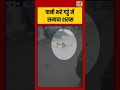 Viral Video | पानी भरे गड्ढे में समाया शख्स | #viralvideo #viralnews #shorts