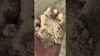 8 Fun Facts about Bermuda