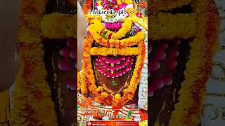 🙏🌹 Ujjain Mahakal Baba ka #new #short #video #upload #viral #channel #subscribe💕