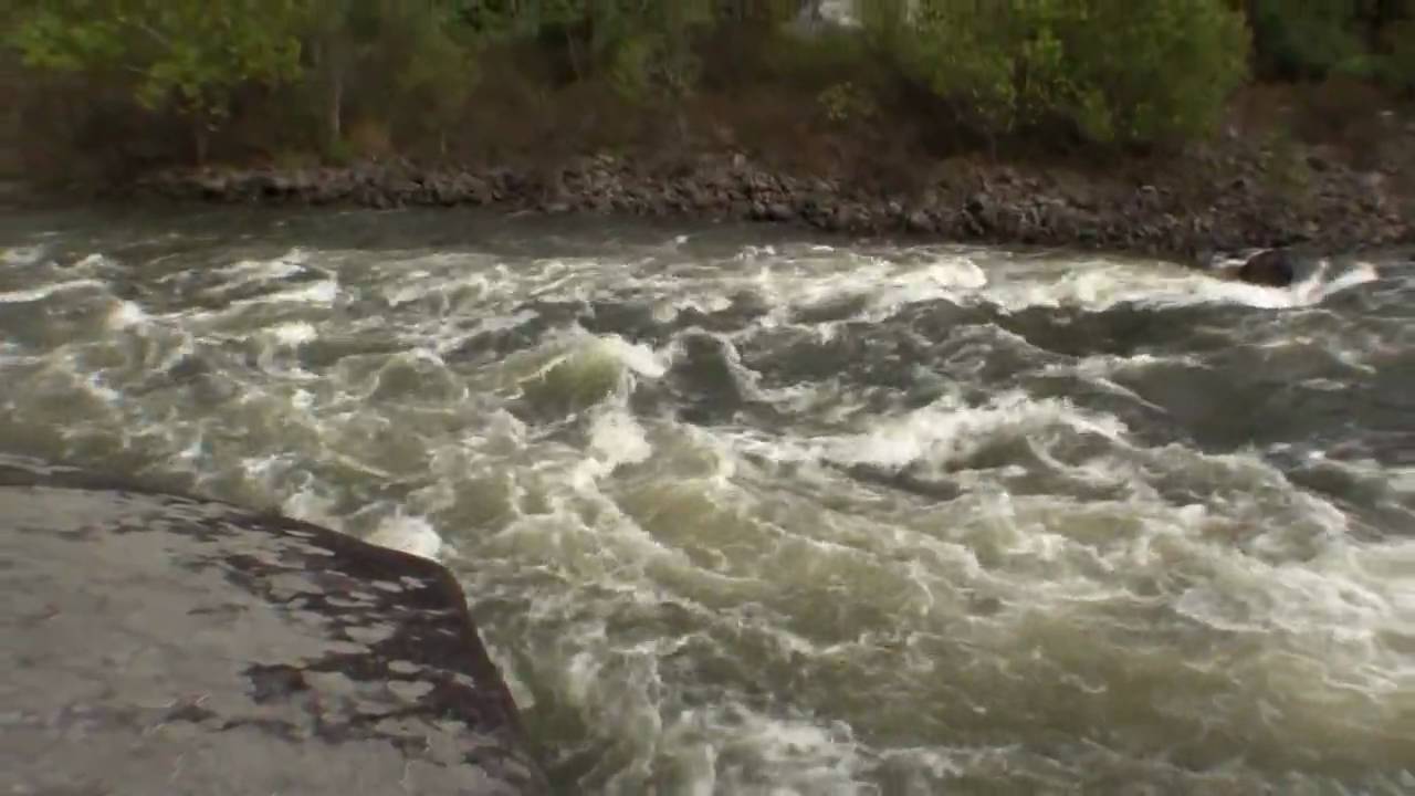 2800 cfs Lower Collison Creek Rapid, Gauley River YouTube