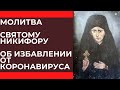 Будем молиться святому Никифору об избавлении от коронавируса