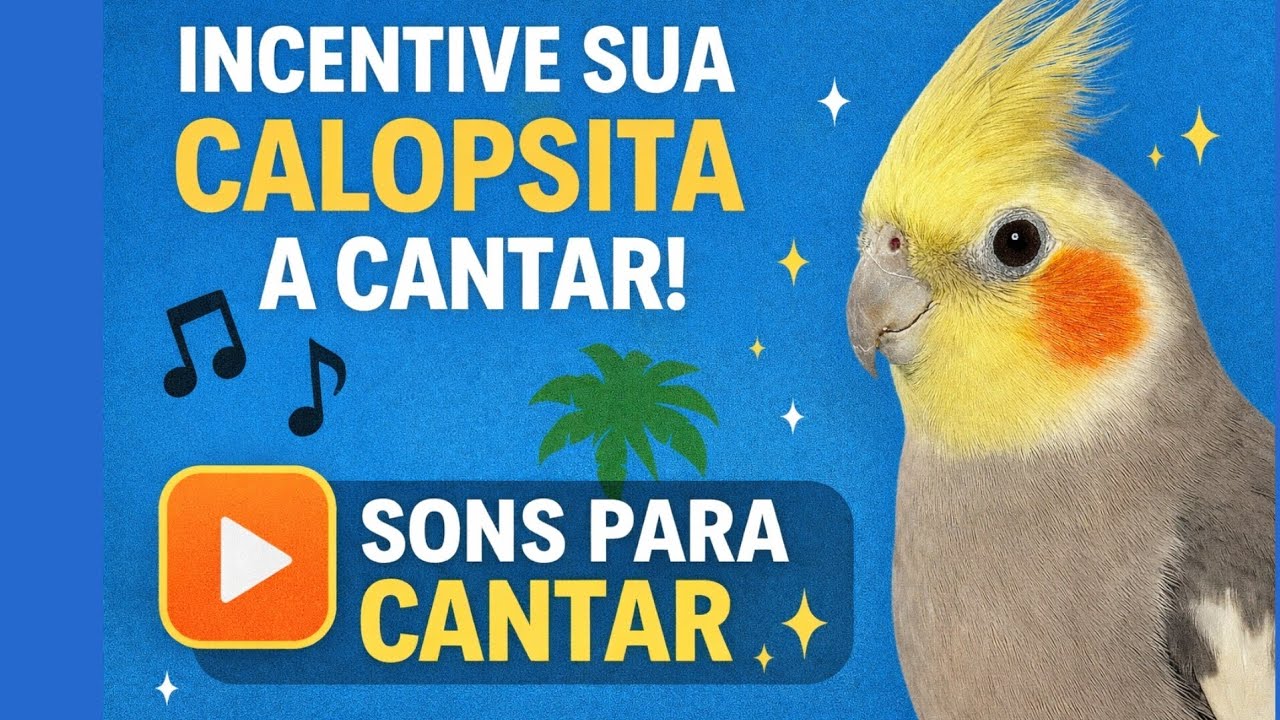 Sons para Incentivar sua Calopsita a Cantar | Estímulo Natural de várias Calopsitas Cantando 