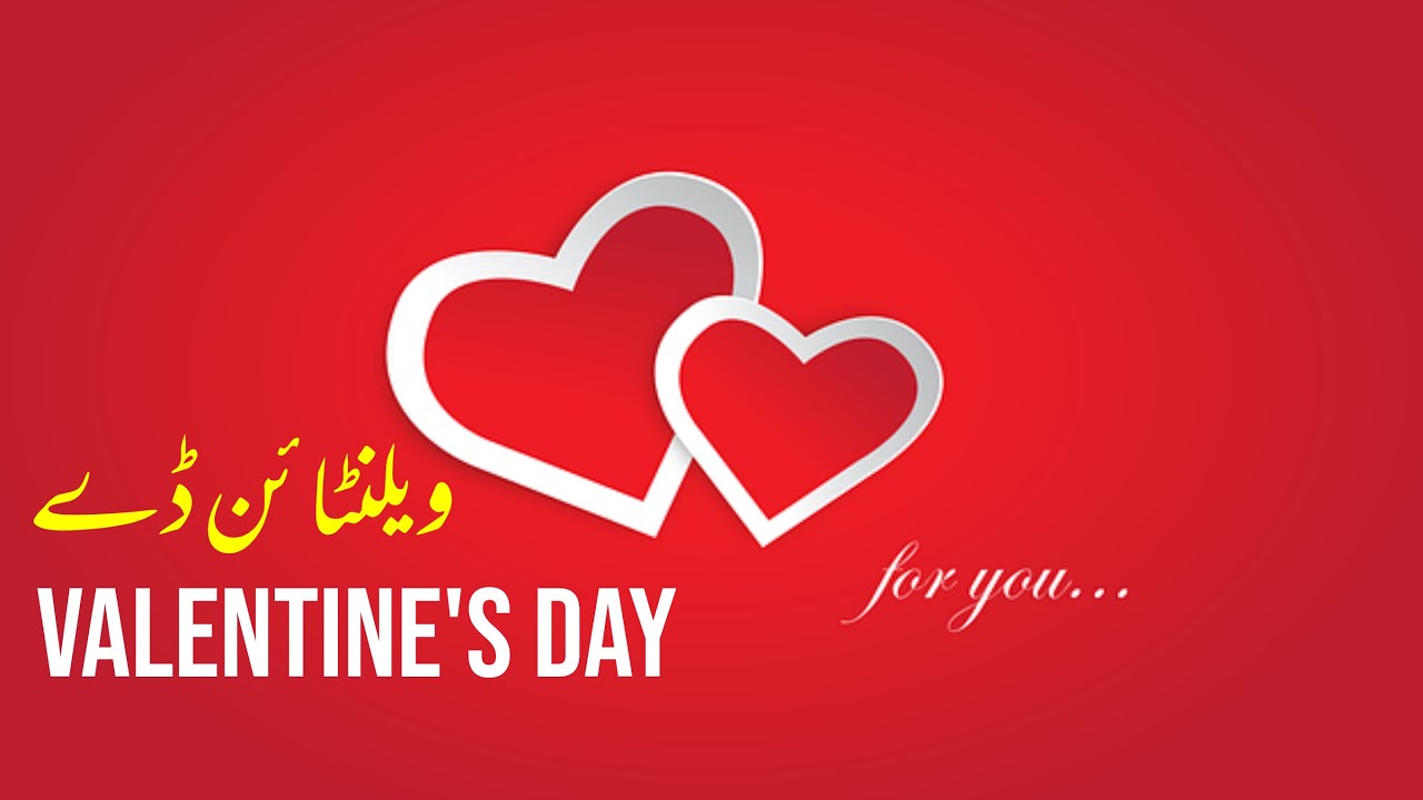 VALENTINE DAY MESSAGE VLOG | TAIMOOR BHATTI | POTOHARI VIBES |