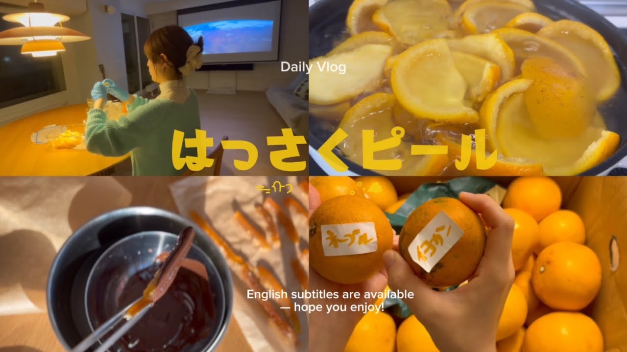 Daily Vlog🍊はっさく仕事