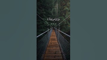 ‏﴿ اللَّهُ لَطِيفٌ بِعِبَادِهِ ﴾ القارئ سعد أزويت